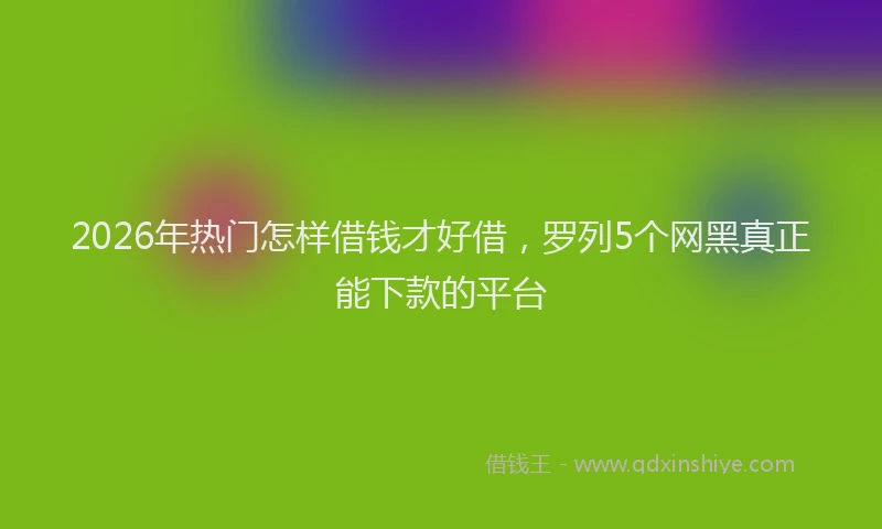 2026年热门怎样借钱才好借，罗列5个网黑真正能下款的平台