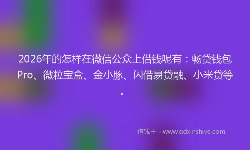 2026年的怎样在微信公众上借钱呢有：畅贷钱包Pro、微粒宝盒、金小豚、闪借易贷融、小米贷等。