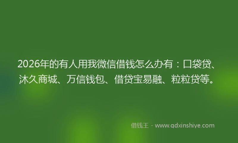 2026年的有人用我微信借钱怎么办有：口袋贷、沐久商城、万信钱包、借贷宝易融、粒粒贷等。