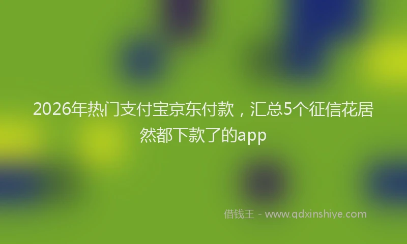 2026年热门支付宝京东付款，汇总5个征信花居然都下款了的app