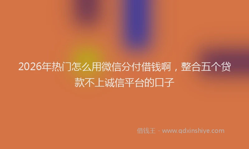 2026年热门怎么用微信分付借钱啊，整合五个贷款不上诚信平台的口子
