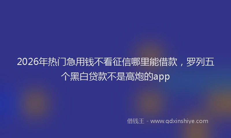 2026年热门急用钱不看征信哪里能借款，罗列五个黑白贷款不是高炮的app