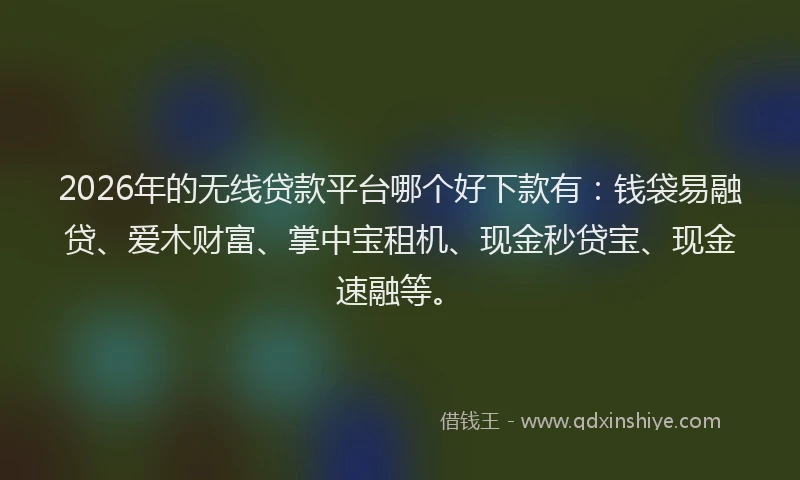 2026年的无线贷款平台哪个好下款有：钱袋易融贷、爱木财富、掌中宝租机、现金秒贷宝、现金速融等。