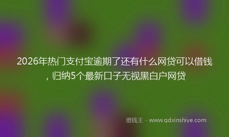 2026年热门支付宝逾期了还有什么网贷可以借钱，归纳5个最新口子无视黑白户网贷