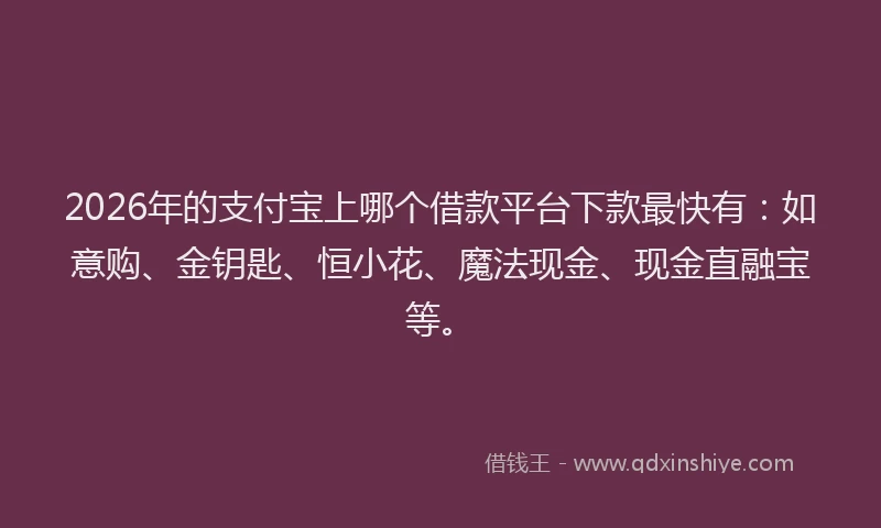 2026年的支付宝上哪个借款平台下款最快有:如意购、金钥匙、恒小花、魔法现金、现金直融宝等。