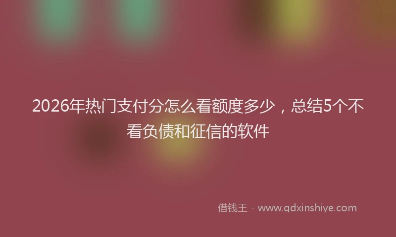 2026年热门支付分怎么看额度多少，总结5个不看负债和征信的软件