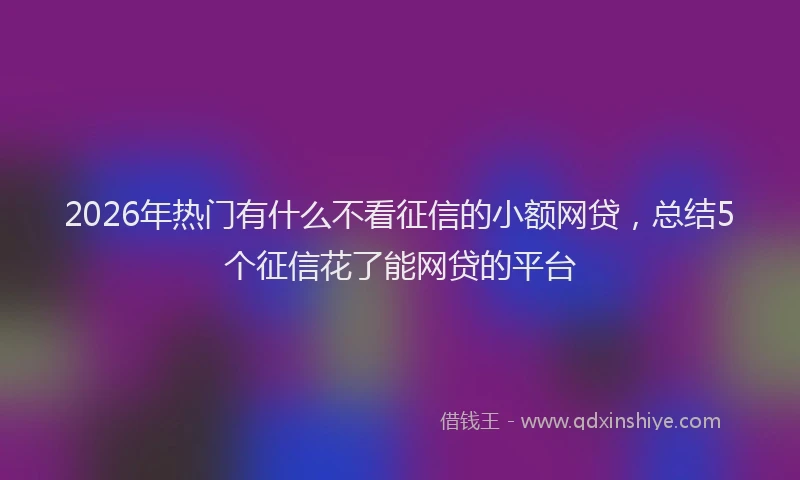 2026年热门有什么不看征信的小额网贷，总结5个征信花了能网贷的平台
