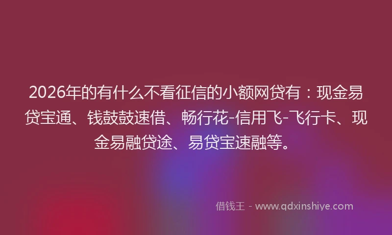 2026年的有什么不看征信的小额网贷有:现金易贷宝通、钱鼓鼓速借、畅行花-信用飞-飞行卡、现金易融贷途、易贷宝速融等。