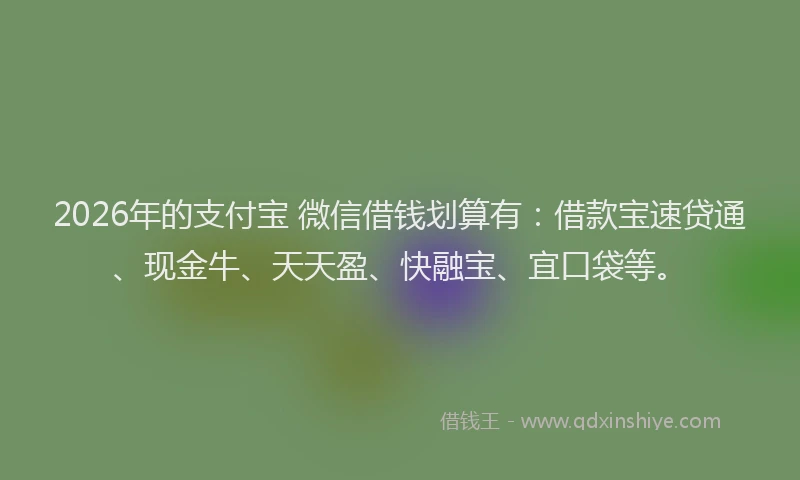 2026年的支付宝 微信借钱划算有：借款宝速贷通、现金牛、天天盈、快融宝、宜口袋等。