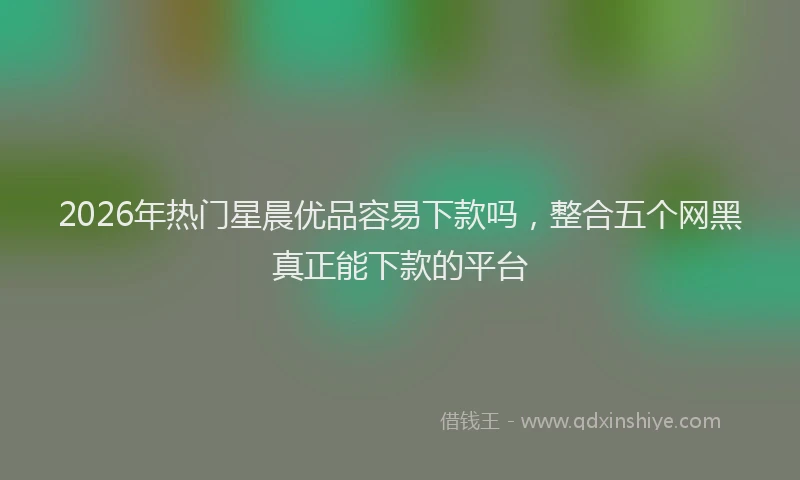 2026年热门星晨优品容易下款吗，整合五个网黑真正能下款的平台