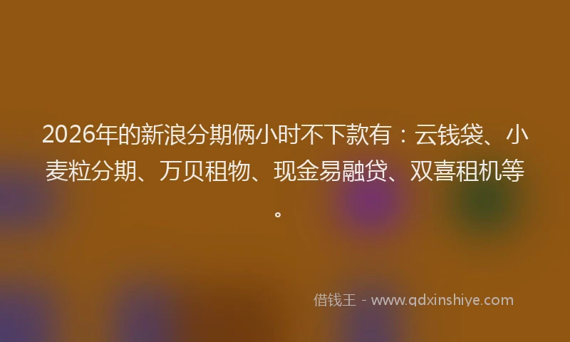 2026年的新浪分期俩小时不下款有：云钱袋、小麦粒分期、万贝租物、现金易融贷、双喜租机等。