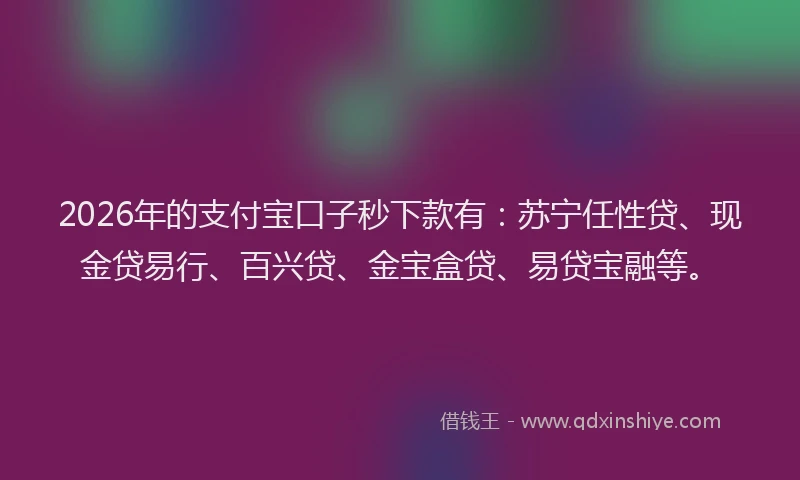 2026年的支付宝口子秒下款有：苏宁任性贷、现金贷易行、百兴贷、金宝盒贷、易贷宝融等。