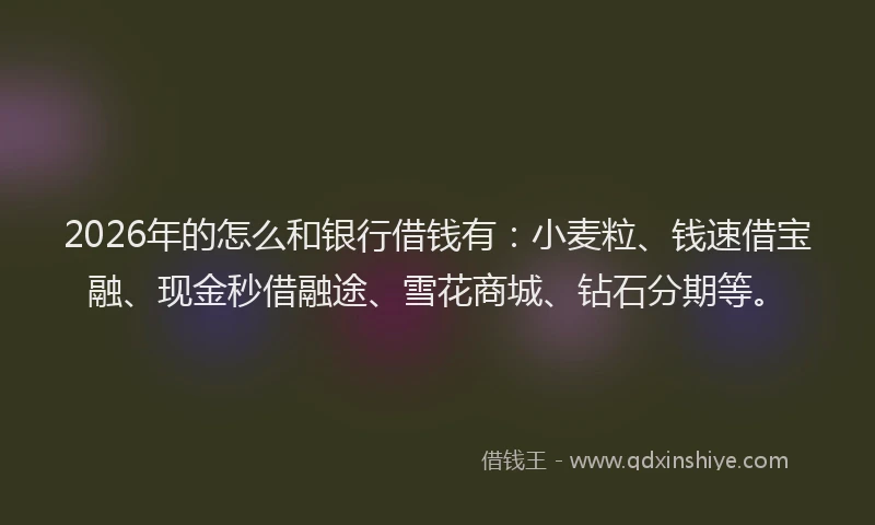 2026年的怎么和银行借钱有：小麦粒、钱速借宝融、现金秒借融途、雪花商城、钻石分期等。