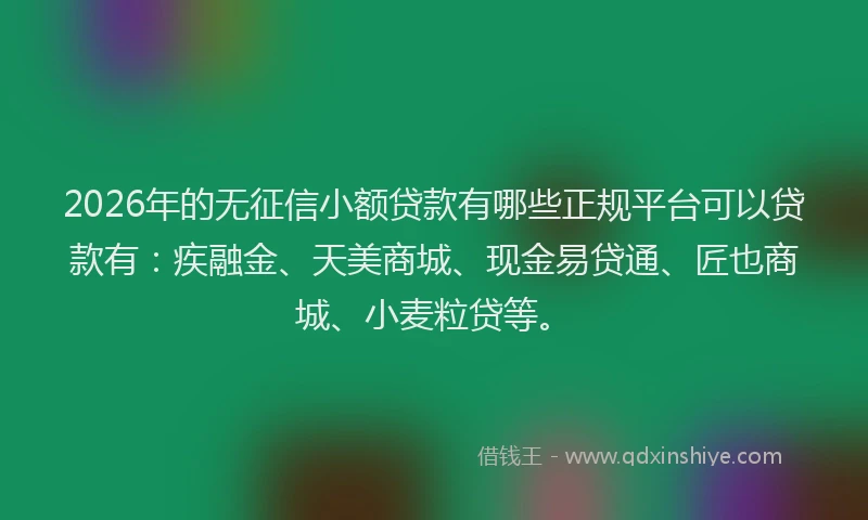 2026年的无征信小额贷款有哪些正规平台可以贷款有：疾融金、天美商城、现金易贷通、匠也商城、小麦粒贷等。
