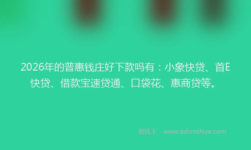 2026年的普惠钱庄好下款吗有：小象快贷、首E快贷、借款宝速贷通、口袋花、惠商贷等。