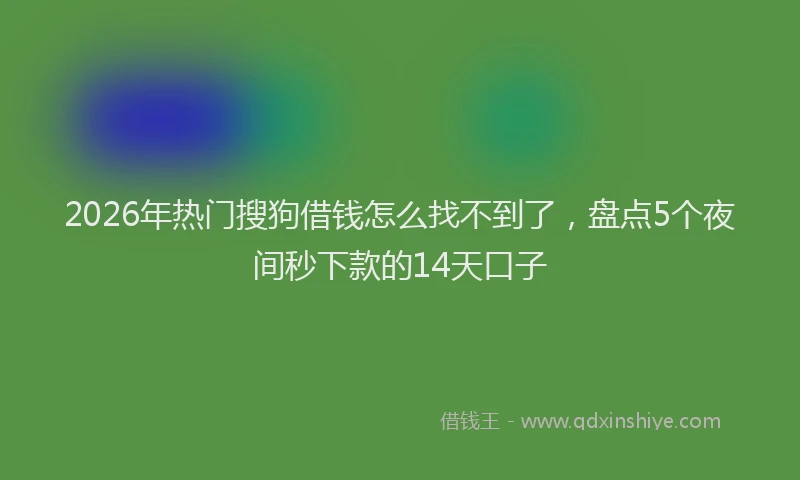 2026年热门搜狗借钱怎么找不到了，盘点5个夜间秒下款的14天口子