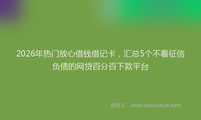 2026年热门放心借钱借记卡，汇总5个不看征信负债的网贷百分百下款平台
