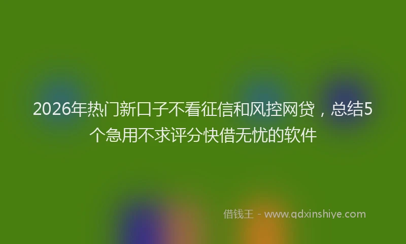 2026年热门新口子不看征信和风控网贷,总结5个急用不求评分快借无忧的软件