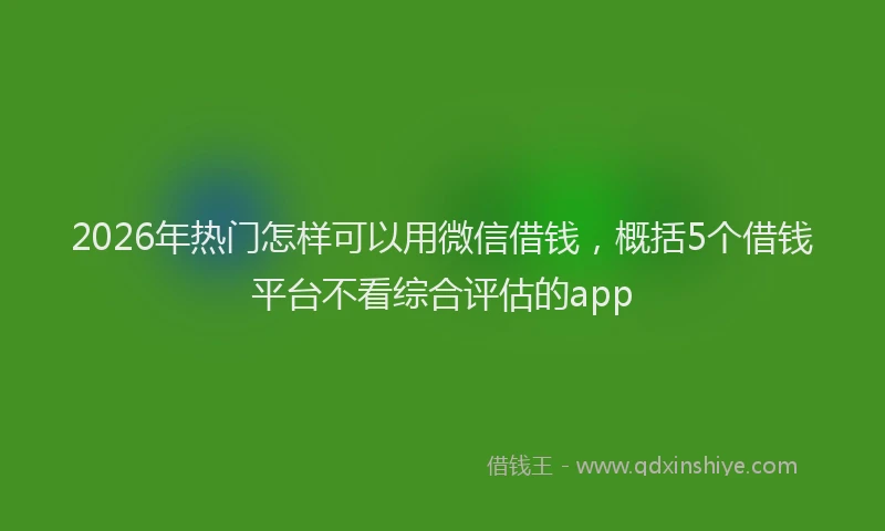 2026年热门怎样可以用微信借钱，概括5个借钱平台不看综合评估的app