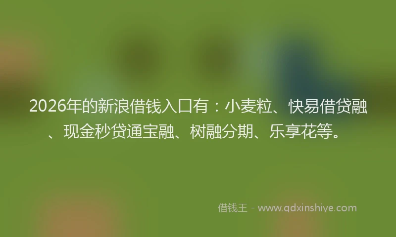 2026年的新浪借钱入口有：小麦粒、快易借贷融、现金秒贷通宝融、树融分期、乐享花等。