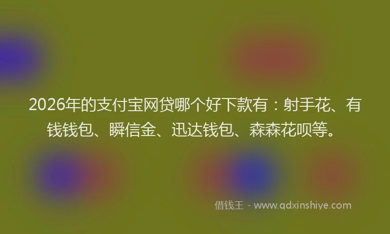 2026年的支付宝网贷哪个好下款有：射手花、有钱钱包、瞬信金、迅达钱包、森森花呗等。