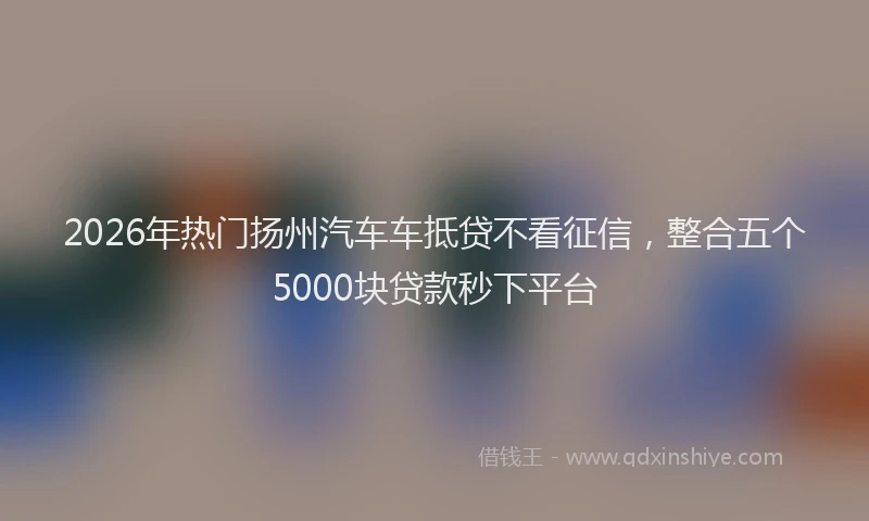 2026年热门扬州汽车车抵贷不看征信，整合五个5000块贷款秒下平台