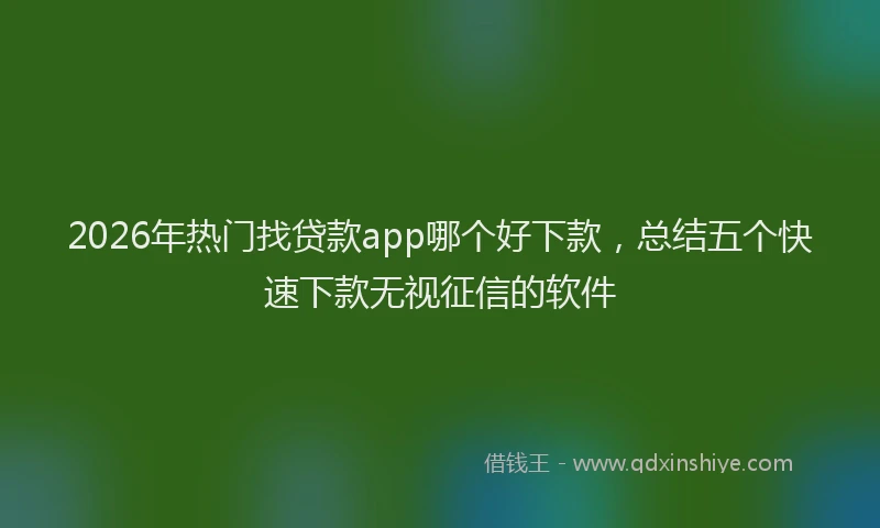 2026年热门找贷款app哪个好下款，总结五个快速下款无视征信的软件