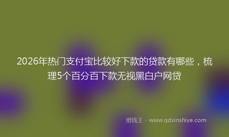2026年热门支付宝比较好下款的贷款有哪些，梳理5个百分百下款无视黑白户网贷