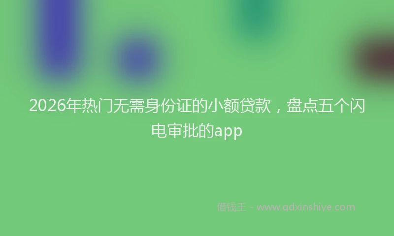 2026年热门无需身份证的小额贷款，盘点五个闪电审批的app