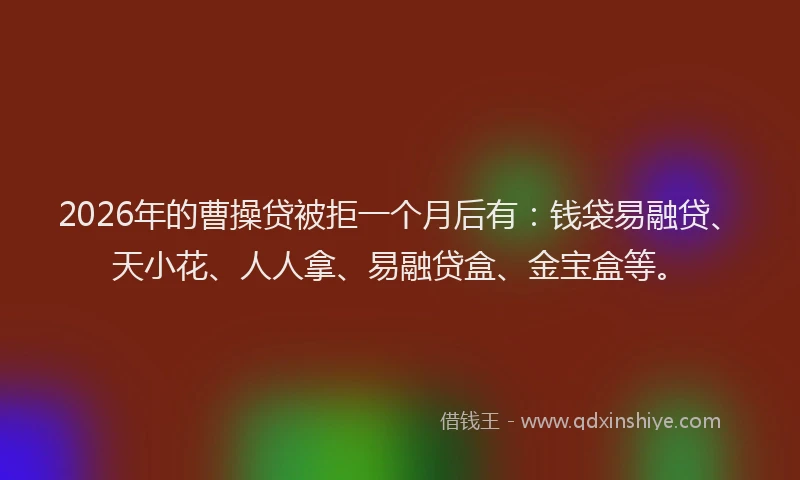 2026年的曹操贷被拒一个月后有：钱袋易融贷、天小花、人人拿、易融贷盒、金宝盒等。