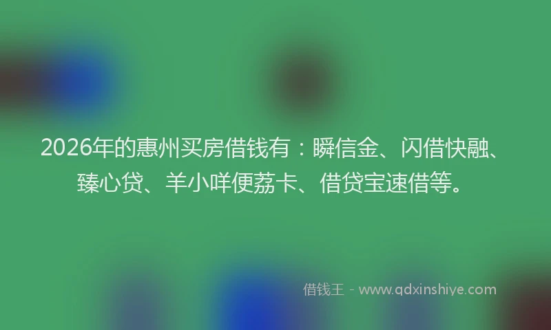 2026年的惠州买房借钱有：瞬信金、闪借快融、臻心贷、羊小咩便荔卡、借贷宝速借等。
