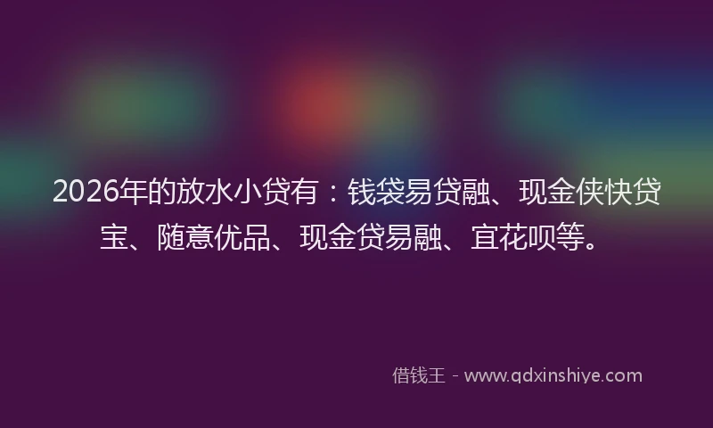 2026年的放水小贷有：钱袋易贷融、现金侠快贷宝、随意优品、现金贷易融、宜花呗等。