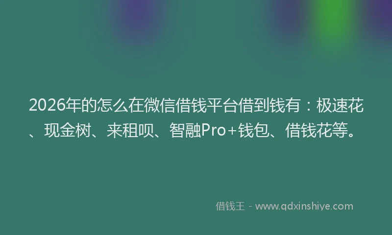 2026年的怎么在微信借钱平台借到钱有：极速花、现金树、来租呗、智融Pro+钱包、借钱花等。