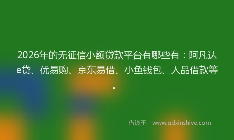 2026年的无征信小额贷款平台有哪些有：阿凡达e贷、优易购、京东易借、小鱼钱包、人品借款等。