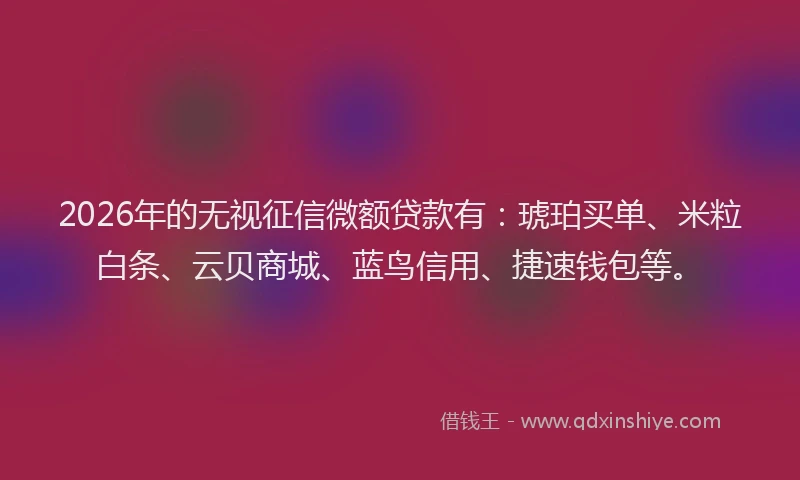 2026年的无视征信微额贷款有：琥珀买单、米粒白条、云贝商城、蓝鸟信用、捷速钱包等。