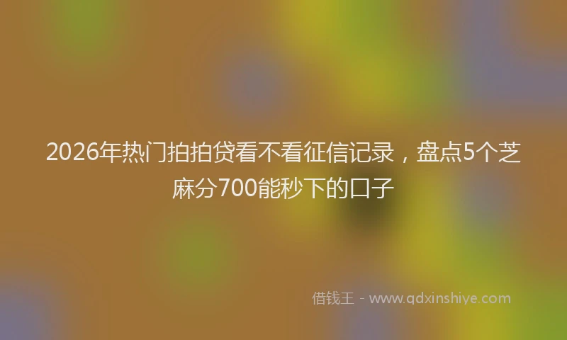 2026年热门拍拍贷看不看征信记录，盘点5个芝麻分700能秒下的口子