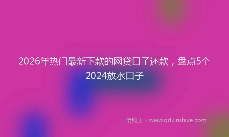 2026年热门最新下款的网贷口子还款，盘点5个2024放水口子