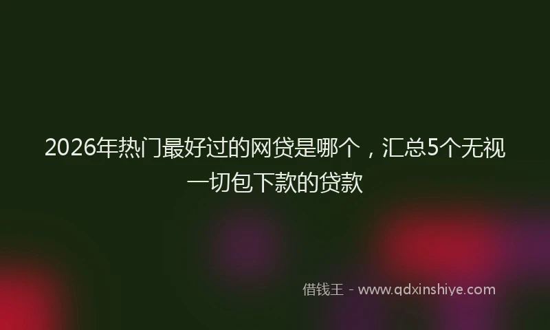 2026年热门最好过的网贷是哪个，汇总5个无视一切包下款的贷款