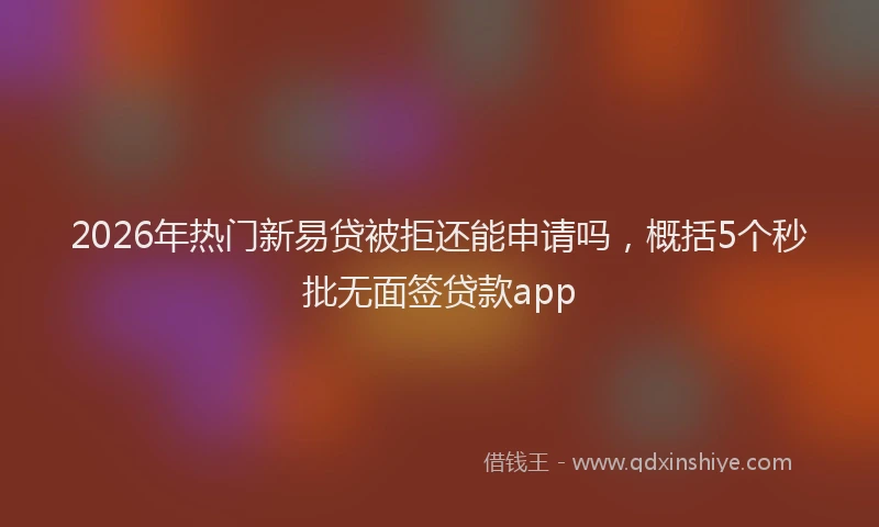 2026年热门新易贷被拒还能申请吗，概括5个秒批无面签贷款app