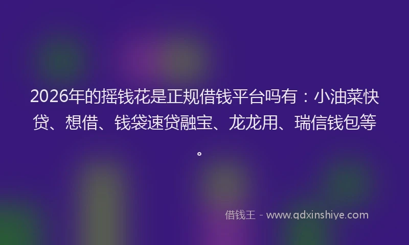2026年的摇钱花是正规借钱平台吗有：小油菜快贷、想借、钱袋速贷融宝、龙龙用、瑞信钱包等。