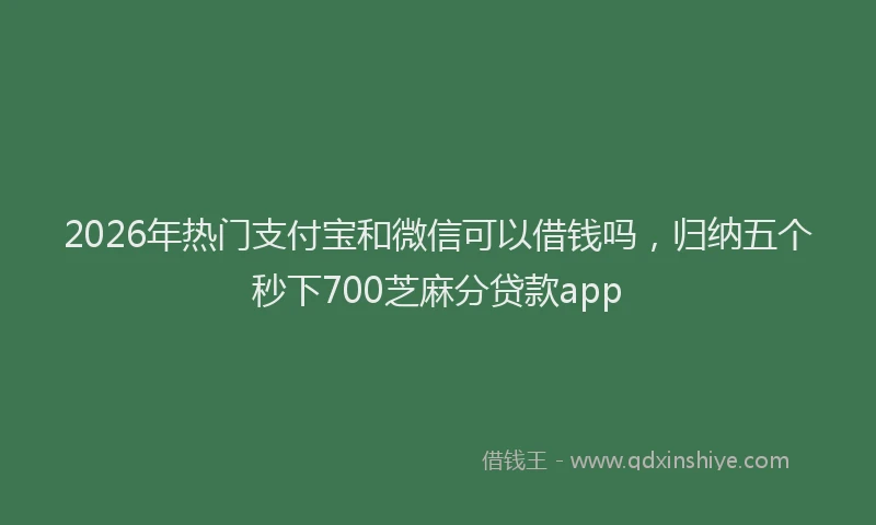2026年热门支付宝和微信可以借钱吗，归纳五个秒下700芝麻分贷款app
