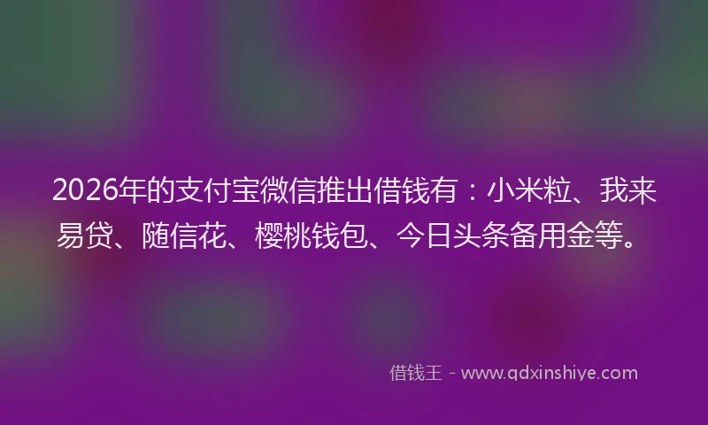 2026年的支付宝微信推出借钱有：小米粒、我来易贷、随信花、樱桃钱包、今日头条备用金等。