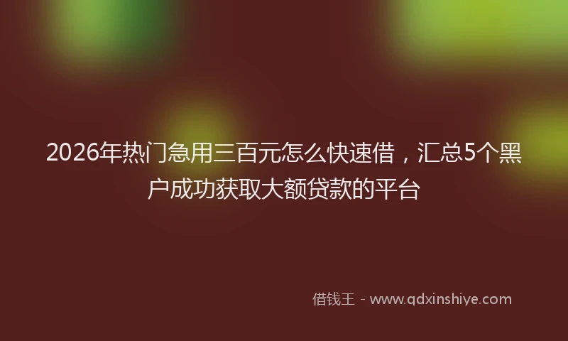 2026年热门急用三百元怎么快速借，汇总5个黑户成功获取大额贷款的平台