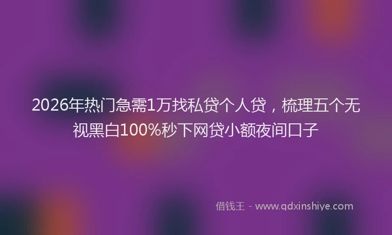 2026年热门急需1万找私贷个人贷，梳理五个无视黑白100%秒下网贷小额夜间口子