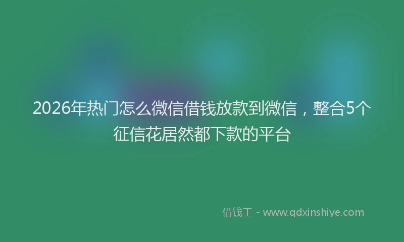 2026年热门怎么微信借钱放款到微信，整合5个征信花居然都下款的平台