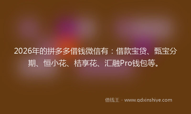 2026年的拼多多借钱微信有：借款宝贷、甄宝分期、恒小花、桔享花、汇融Pro钱包等。