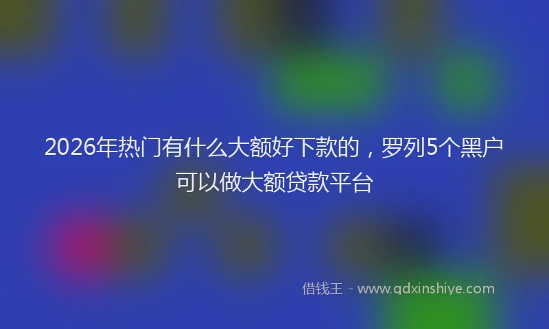 2026年热门有什么大额好下款的，罗列5个黑户可以做大额贷款平台