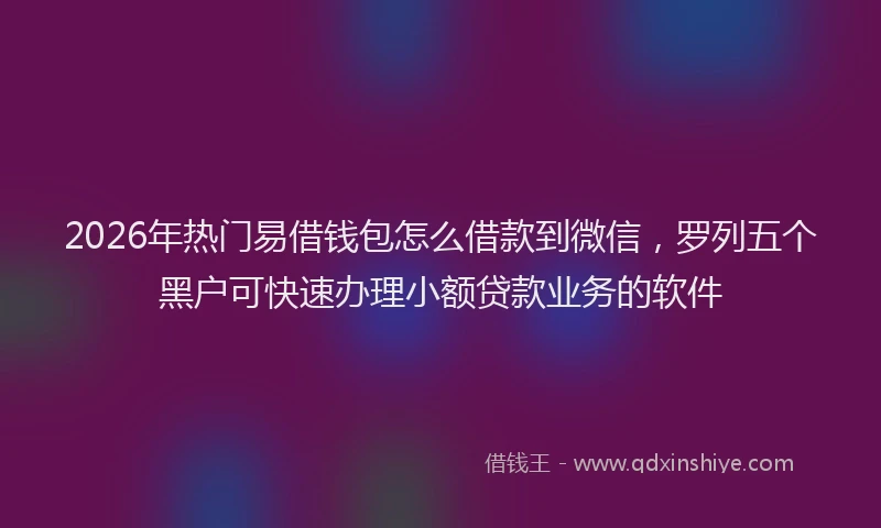 2026年热门易借钱包怎么借款到微信，罗列五个黑户可快速办理小额贷款业务的软件
