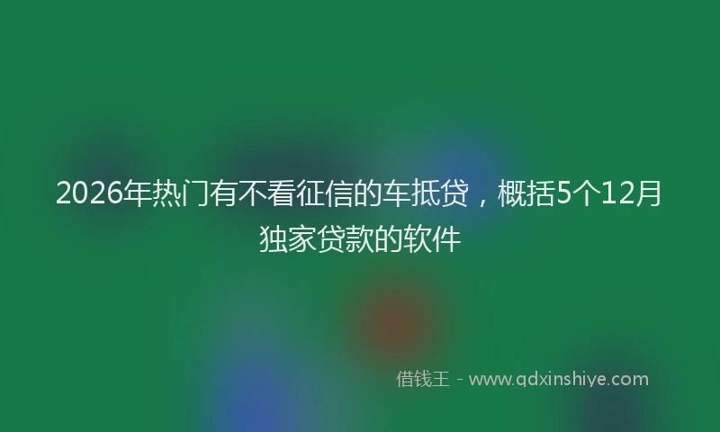 2026年热门有不看征信的车抵贷，概括5个12月独家贷款的软件