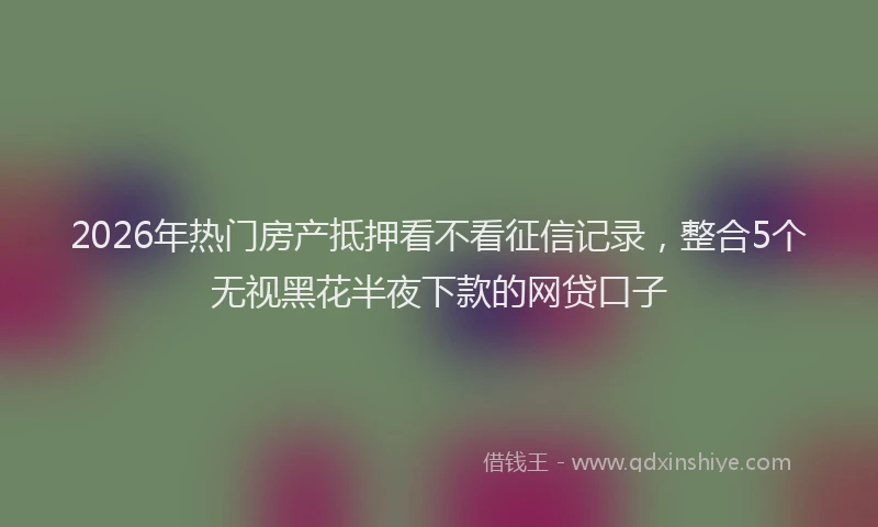 2026年热门房产抵押看不看征信记录，整合5个无视黑花半夜下款的网贷口子